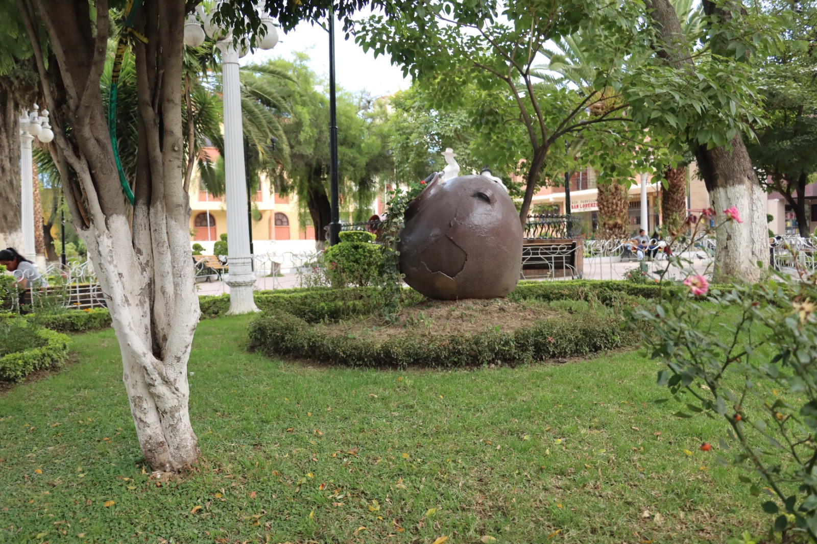 Medio Ambiente